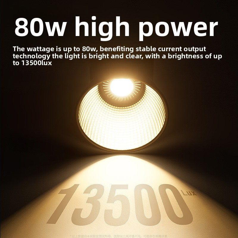 ZU80 80w Handheld Exterior Lam – Photography Lighting Lamp recenzja i cena
