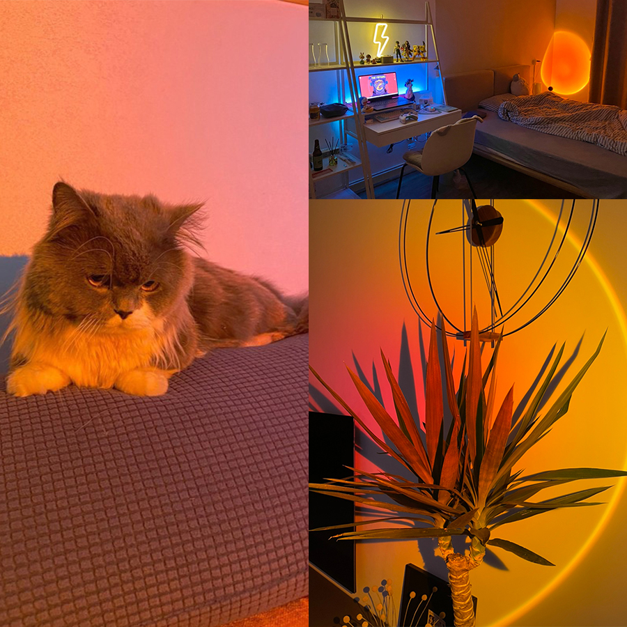 Smart Sunset Lamp Tuya LED Nig – Photography Lighting App recenzja i cena